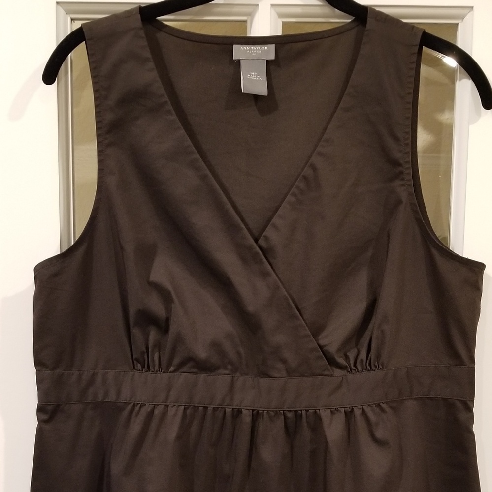 Ann Taylor Brown Top 14P